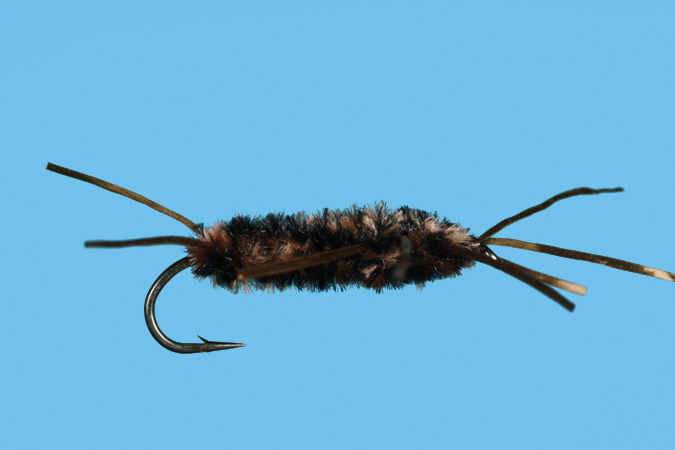 elk hair caddis fly for fly fishing in the Rocky Mountain National park lakes and Estes Park rivers Colorado